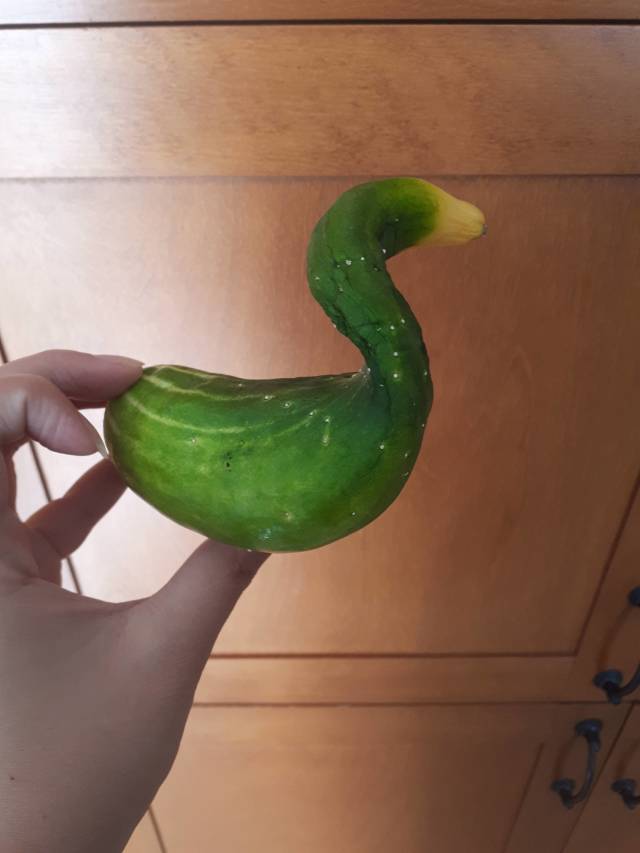 daily picdump 84 pics 38.html - 84 HD Photos | Premium Gallery 2018