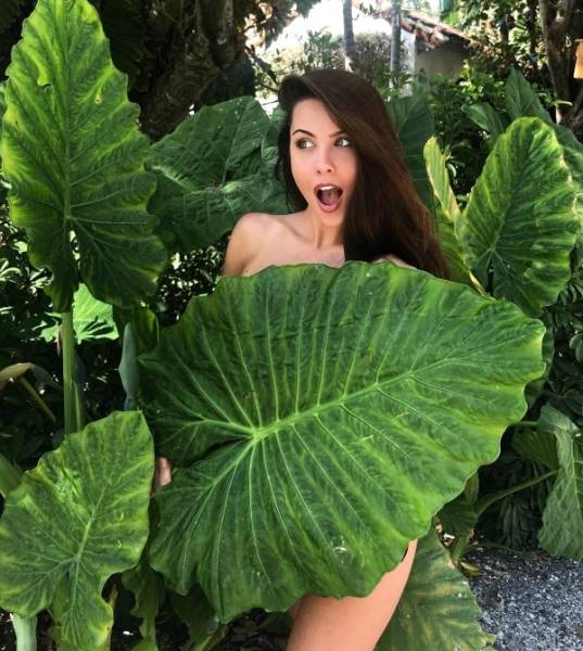 How About Some Goofy Pretties?