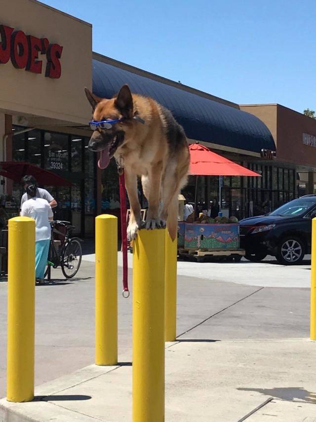 morning picdump 53 pics 7.html - 53 HD Photos | Premium Gallery 2018