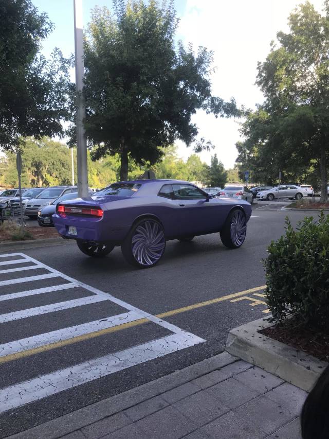 morning picdump 53 pics 7.html - 53 HD Photos | Premium Gallery 2018