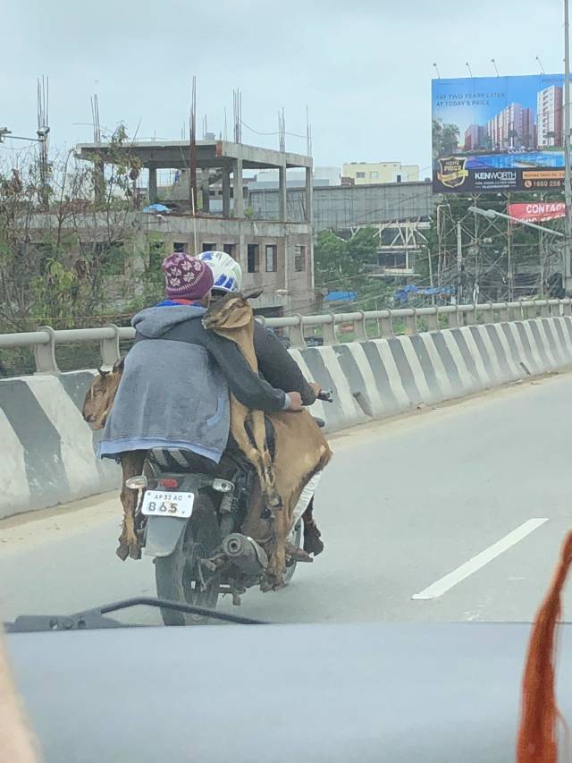 morning picdump 53 pics 7.html - 53 HD Photos | Premium Gallery 2018