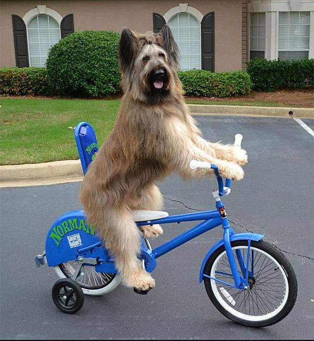 morning picdump 53 pics 7.html - 53 HD Photos | Premium Gallery 2018