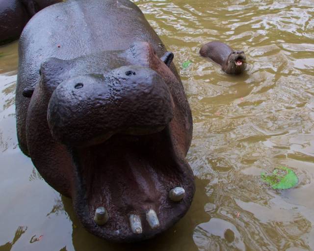 daily picdump 84 pics 4.html - 84 HD Photos | Premium Gallery 2018