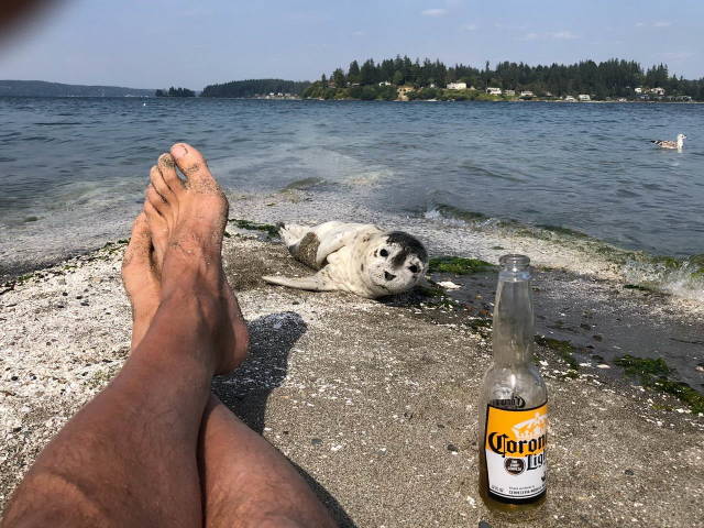 daily picdump 84 pics 4.html - 84 HD Photos | Premium Gallery 2018