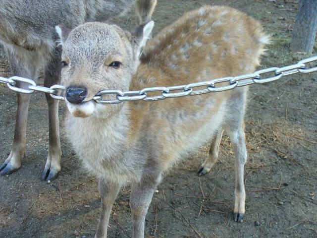 daily picdump 84 pics 4.html - 84 HD Photos | Premium Gallery 2018