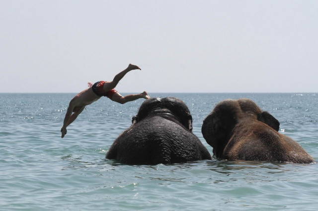 daily picdump 84 pics 4.html - 84 HD Photos | Premium Gallery 2018