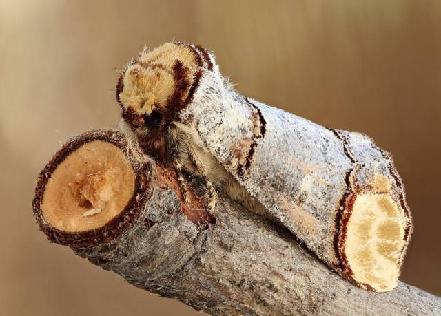 daily picdump 84 pics 4.html - 84 HD Photos | Premium Gallery 2018