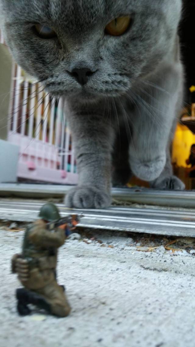 daily picdump 84 pics 4.html - 84 HD Photos | Premium Gallery 2018