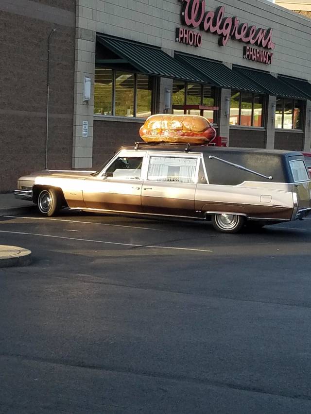 daily picdump 84 pics 4.html - 84 HD Photos | Premium Gallery 2018