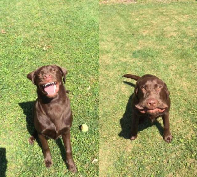 morning picdump 51 pics 38.html - 51 HD Photos | Premium Gallery 2018