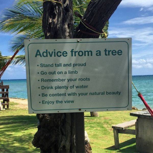 morning picdump 51 pics 38.html - 51 HD Photos | Premium Gallery 2018