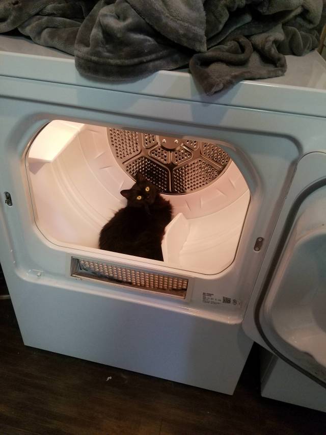 morning picdump 51 pics 38.html - 51 HD Photos | Premium Gallery 2018