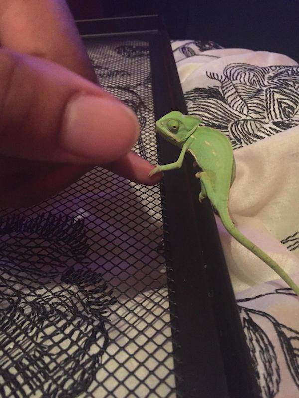 morning picdump 51 pics 38.html - 51 HD Photos | Premium Gallery 2018