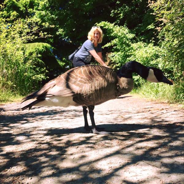 Daily Picdump [WEEKEND EDITION]