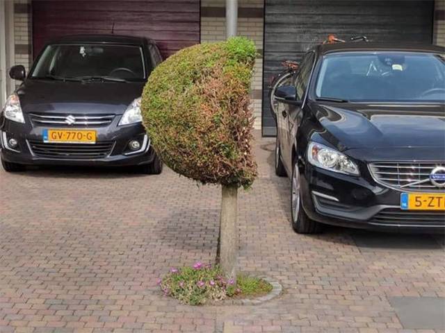 daily picdump weekend edition 53 pics 21.html - 53 HD Photos | Premium Gallery 2018