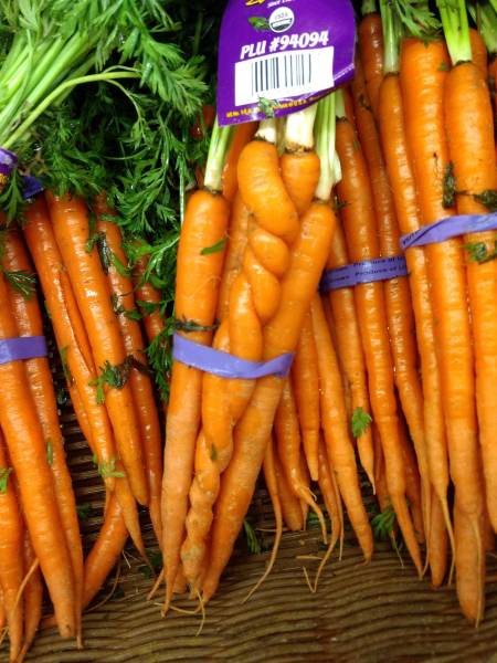 daily picdump weekend edition 53 pics 21.html - 53 HD Photos | Premium Gallery 2018