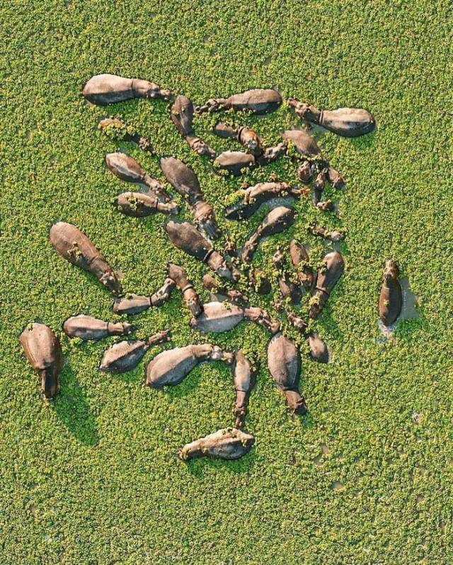 Daily Picdump [WEEKEND EDITION]