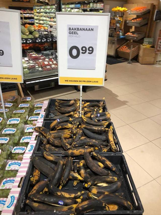 daily picdump weekend edition 53 pics 21.html - 53 HD Photos | Premium Gallery 2018