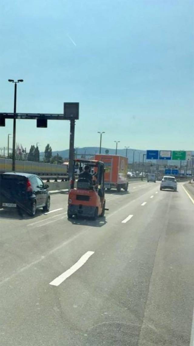 daily picdump weekend edition 53 pics 21.html - 53 HD Photos | Premium Gallery 2018