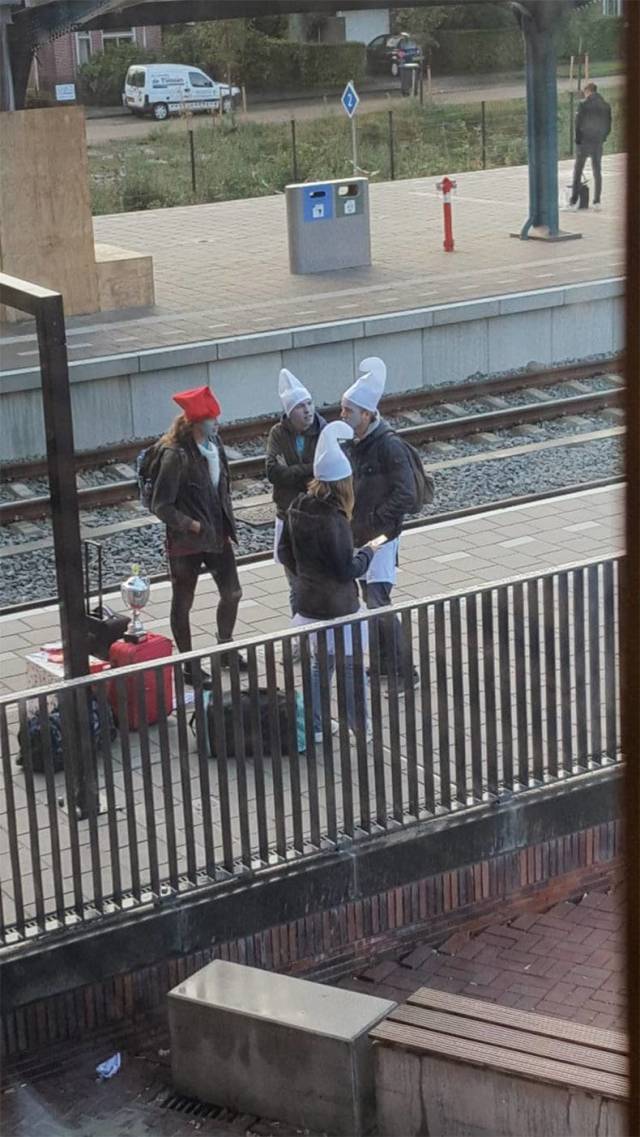 daily picdump weekend edition 53 pics 21.html - 53 HD Photos | Premium Gallery 2018