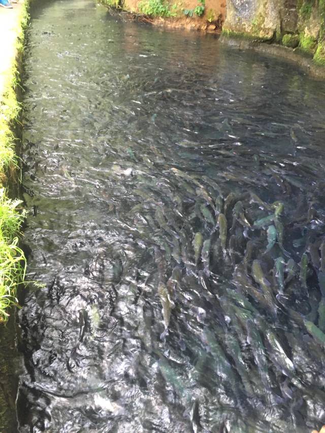 daily picdump weekend edition 53 pics 21.html - 53 HD Photos | Premium Gallery 2018