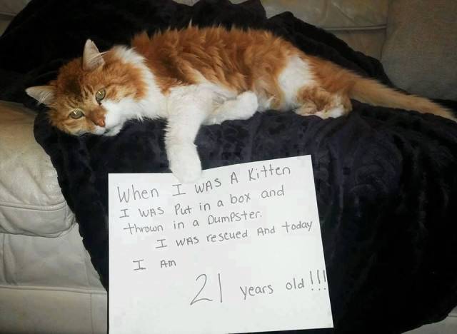 daily picdump 100 pics 9.html - 100 HD Photos | Premium Gallery 2018