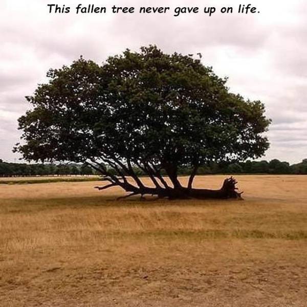 daily picdump 100 pics 9.html - 100 HD Photos | Premium Gallery 2018