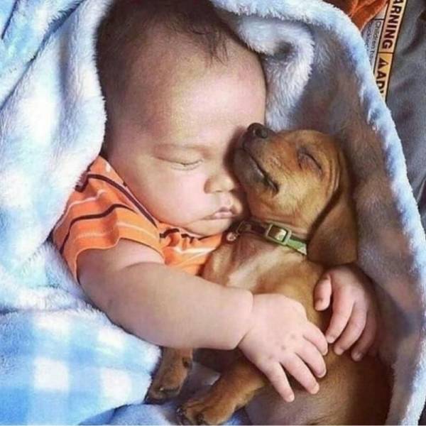 daily picdump 100 pics 9.html - 100 HD Photos | Premium Gallery 2018