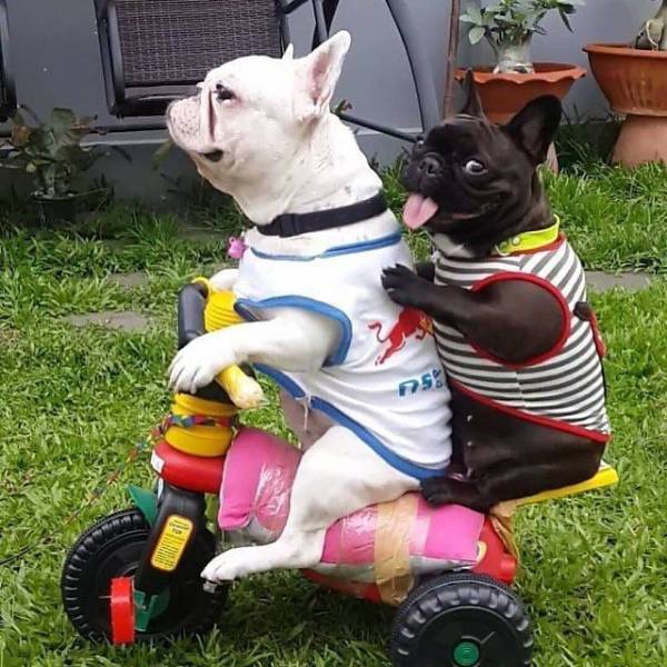 daily picdump 100 pics 9.html - 100 HD Photos | Premium Gallery 2018