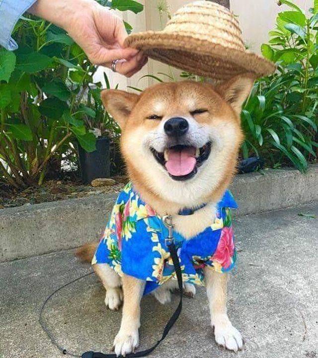 daily picdump 100 pics 9.html - 100 HD Photos | Premium Gallery 2018