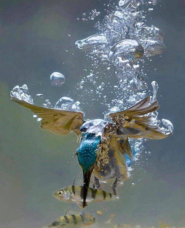 daily picdump 100 pics 9.html - 100 HD Photos | Premium Gallery 2018