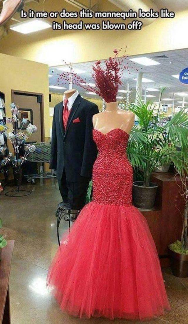 daily picdump 100 pics 9.html - 100 HD Photos | Premium Gallery 2018