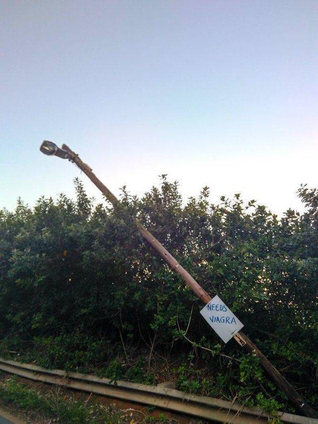 daily picdump 100 pics 9.html - 100 HD Photos | Premium Gallery 2018