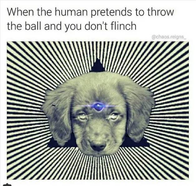 funny picdump 53 pics 21.html - 53 HD Photos | Premium Gallery 2018