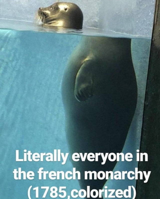 funny picdump 53 pics 21.html - 53 HD Photos | Premium Gallery 2018