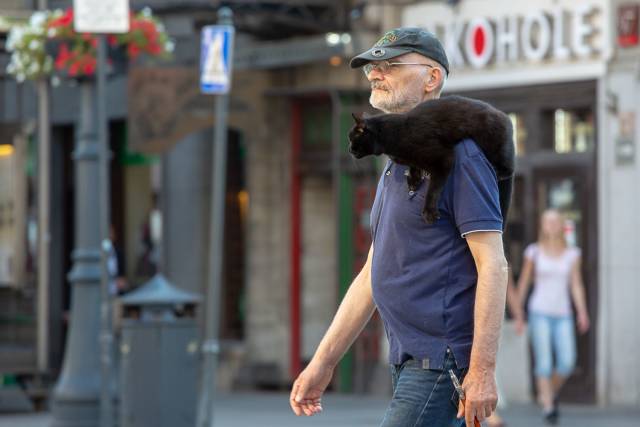 daily picdump 100 pics 46.html - 100 HD Photos | Premium Gallery 2018