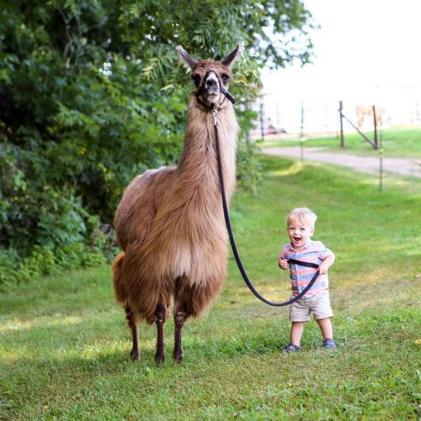 daily picdump 100 pics 46.html - 100 HD Photos | Premium Gallery 2018