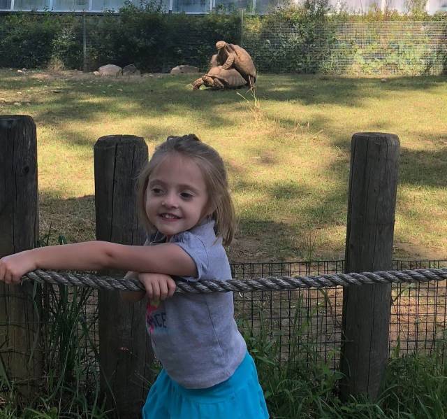 daily picdump 100 pics 46.html - 100 HD Photos | Premium Gallery 2018