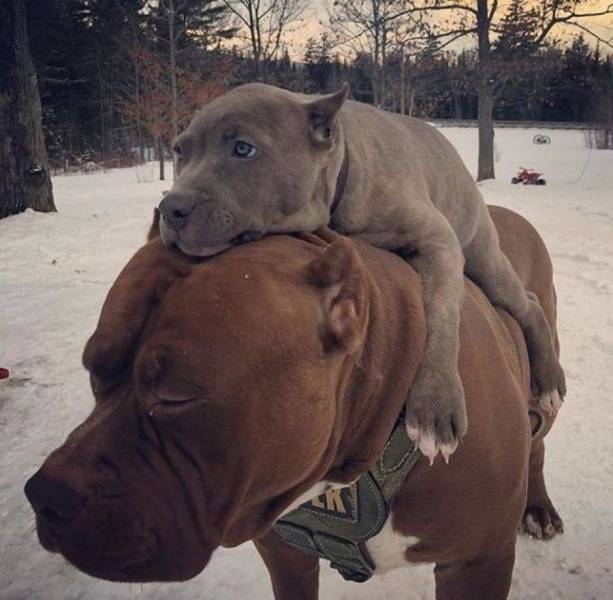 daily picdump 100 pics 46.html - 100 HD Photos | Premium Gallery 2018