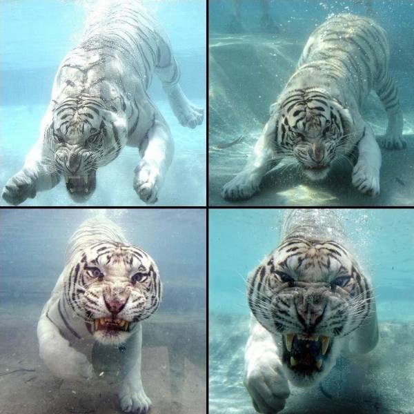 daily picdump 100 pics 46.html - 100 HD Photos | Premium Gallery 2018