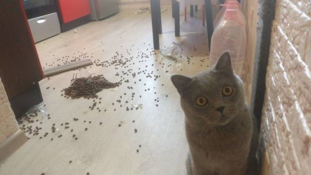 daily picdump 100 pics 46.html - 100 HD Photos | Premium Gallery 2018