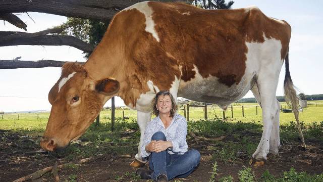 daily picdump 100 pics 46.html - 100 HD Photos | Premium Gallery 2018