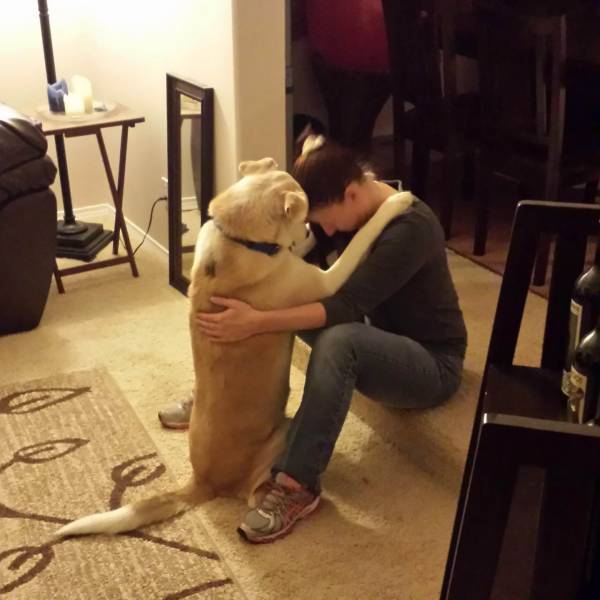 daily picdump 100 pics 46.html - 100 HD Photos | Premium Gallery 2018