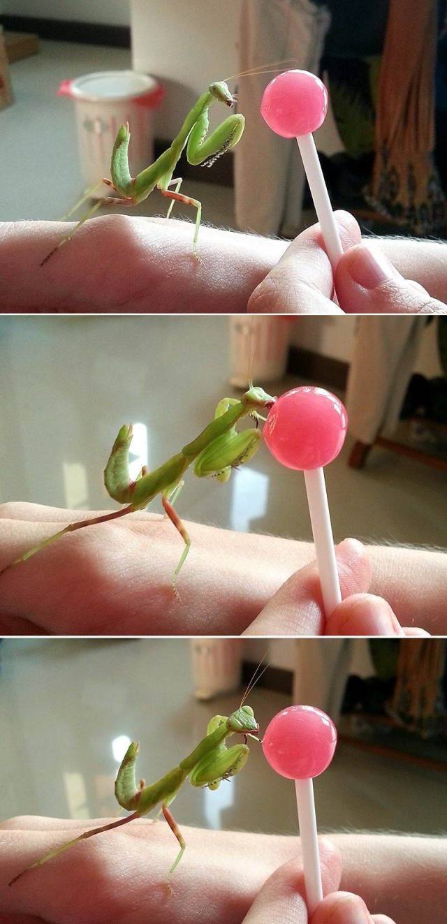 daily picdump 100 pics 46.html - 100 HD Photos | Premium Gallery 2018