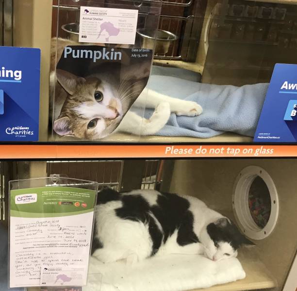 morning picdump 51 pics 7.html - 51 HD Photos | Premium Gallery 2018