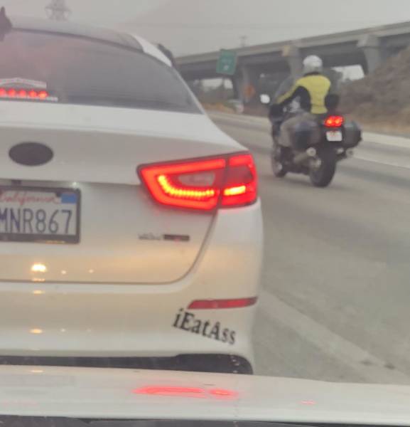 morning picdump 51 pics 7.html - 51 HD Photos | Premium Gallery 2018