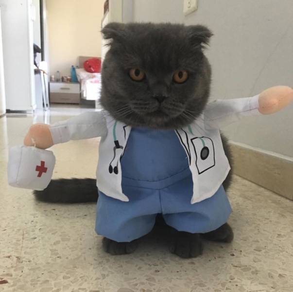 morning picdump 51 pics 7.html - 51 HD Photos | Premium Gallery 2018