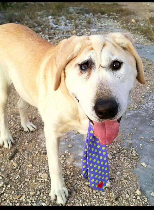 morning picdump 51 pics 7.html - 51 HD Photos | Premium Gallery 2018