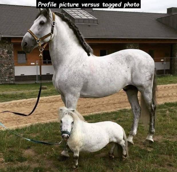 daily picdump 96 pics 41.html - 96 HD Photos | Premium Gallery 2018