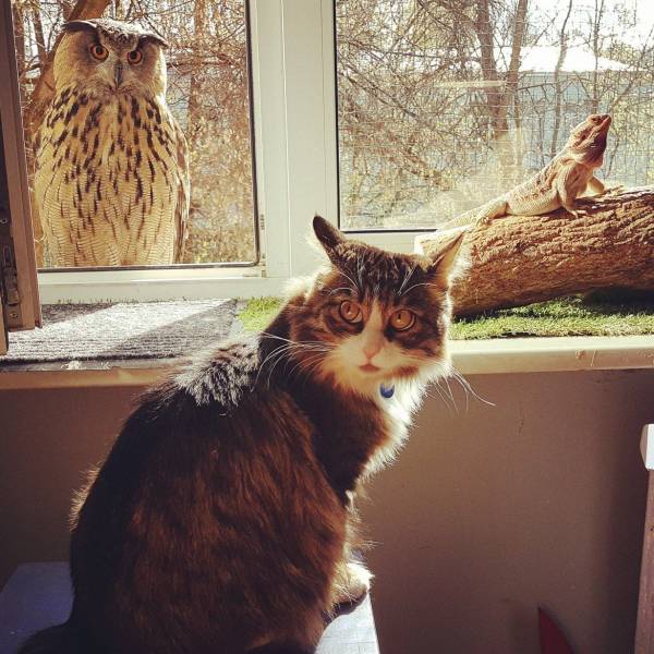 daily picdump 96 pics 41.html - 96 HD Photos | Premium Gallery 2018